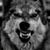 Nikki Yeager's profile image