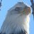 Mary Mangiofico's profile image