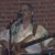 Tracy Biddy's profile image