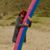 Donna Lee's profile image