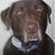 Sharon Capell's profile image