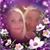 Cindy Davis Chadwell's profile image