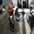 Janine Avanti's profile image