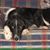 Amy Vannest-Fowler's profile image