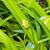Claire Wicinske's profile image