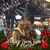 Carol Bailey's profile image