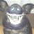 Jim Noe's profile image