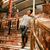 Christabel M's profile image