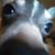Pito Crime's profile image
