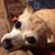 Amy Frohnapple Klonowski's profile image