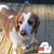 Sharie Bartholomew's profile image