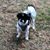 Peggy Deos's profile image