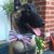 Chris Karcz's profile image