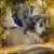 Bridgitte G. Smith's profile image