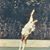 Jeff Smith Sr.'s profile image