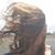 China Vandeyacht's profile image