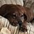 Kirsten Rasmussen's profile image