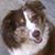 Debra Hebert's profile image