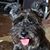 Fred Littell's profile image