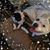 Kaci Rock's profile image