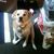 Jim Brady's profile image