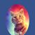 Jill Wallenfelt Lee's profile image