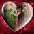Carolyn Comfort's profile image