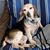 Sherry Murphy's profile image
