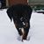 Mark Wieandt's profile image