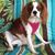 Jeff Tapley's profile image