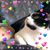 Lorena Seenes's profile image