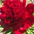 Kathryn Pyne's profile image