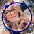 Shelley Steiner's profile image