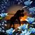 Paula Frank's profile image