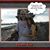 Annamarie Ansestt Hulburt's profile image
