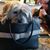 Kimber Lee Michelsen's profile image