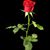Claudia Ramirez's profile image