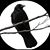 Brian Griffin's profile image