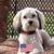 Sue Kraus's profile image