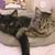 Jennifer Rein Tarbox's profile image
