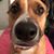 Janet Harper's profile image