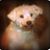 Mari-Jo Kidd's profile image