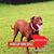 Donna Carter Fender's profile image