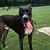 Adrienne Feagle Schwartz's profile image