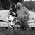 Stacey Conover's profile image