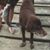 Suzanne Engelhardt's profile image