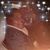 Cynthia Brown's profile image