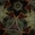 Al Poveda's profile image