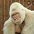 Joey Mooney's profile image