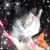Judy Palmer's profile image